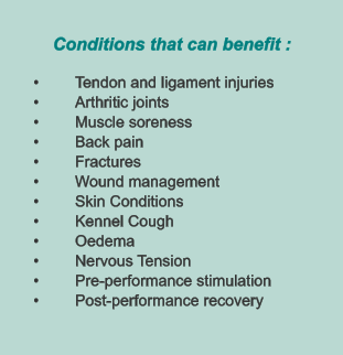 Conditions that can benefit :  •	Tendon and ligament injuries •	Arthritic joints •	Muscle soreness •	Back pain •	Fractures •	Wound management •	Skin Conditions •	Kennel Cough •	Oedema •	Nervous Tension •	Pre-performance stimulation •	Post-performance recovery