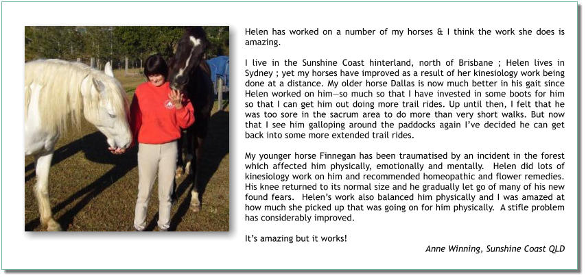 Helen has worked on a number of my horses & I think the work she does is amazing.   I live in the Sunshine Coast hinterland, north of Brisbane ; Helen lives in Sydney ; yet my horses have improved as a result of her kinesiology work being done at a distance. My older horse Dallas is now much better in his gait since Helen worked on him—so much so that I have invested in some boots for him so that I can get him out doing more trail rides. Up until then, I felt that he was too sore in the sacrum area to do more than very short walks. But now that I see him galloping around the paddocks again I’ve decided he can get back into some more extended trail rides.   My younger horse Finnegan has been traumatised by an incident in the forest which affected him physically, emotionally and mentally.  Helen did lots of kinesiology work on him and recommended homeopathic and flower remedies. His knee returned to its normal size and he gradually let go of many of his new found fears.  Helen’s work also balanced him physically and I was amazed at how much she picked up that was going on for him physically.  A stifle problem has considerably improved.   It’s amazing but it works!  Anne Winning, Sunshine Coast QLD